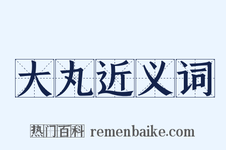 大丸近义词是什么意思的图片
